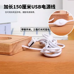 Zenless Zone Zero Tsukishiro Yanagi Game Acrylic Night Light