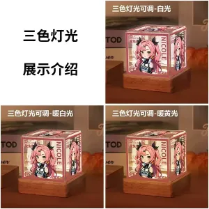 Zenless Zone Zero Nicole Demara Game Acrylic Night Light