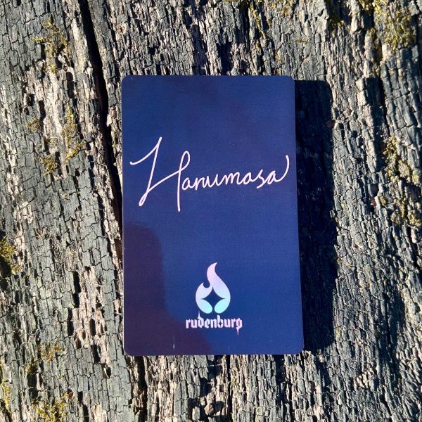 Zenless Zone Zero - Harumasa Photocard