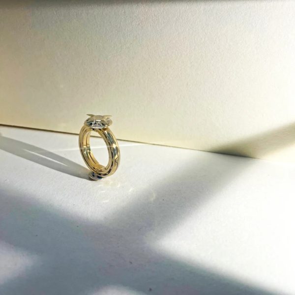 Zenless Zone Zero Hugo Vlad Special Ring Exclusive Rotating Creative Design Animation Game Ring