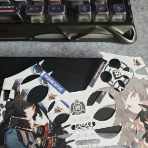 ZZZ Suitable for Flydigi Apex 4 Gamepad Hoshimi Miyabi, Ellen Joe Cardboard Inside Sticker