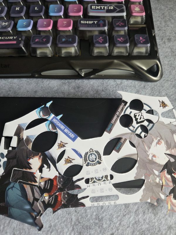 ZZZ Suitable for Flydigi Apex 4 Gamepad Hoshimi Miyabi, Ellen Joe Cardboard Inside Sticker
