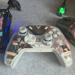 ZZZ Suitable for Flydigi Apex 4 Gamepad Hoshimi Miyabi, Ellen Joe Cardboard Inside Sticker