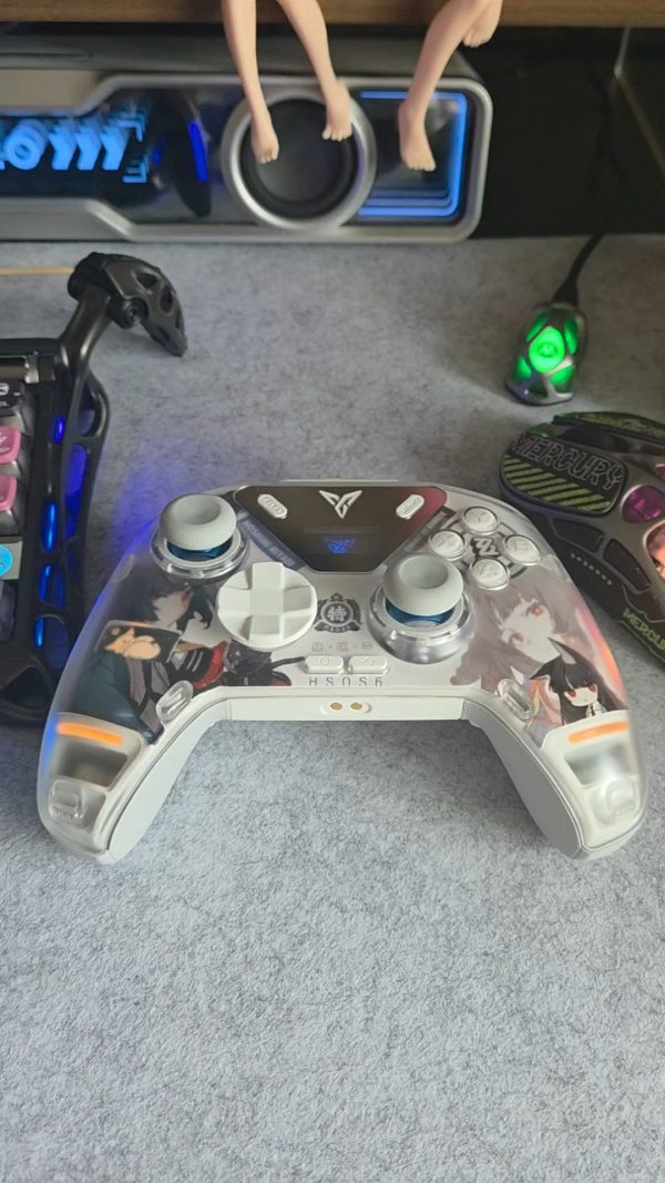 ZZZ Suitable for Flydigi Apex 4 Gamepad Hoshimi Miyabi, Ellen Joe Cardboard Inside Sticker