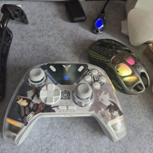 ZZZ Suitable for Flydigi Apex 4 Gamepad Hoshimi Miyabi, Ellen Joe Cardboard Inside Sticker