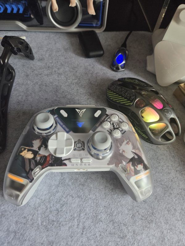 ZZZ Suitable for Flydigi Apex 4 Gamepad Hoshimi Miyabi, Ellen Joe Cardboard Inside Sticker