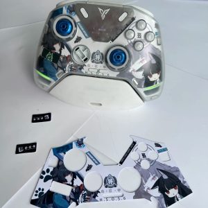 ZZZ Suitable for Flydigi Apex 4 Gamepad Hoshimi Miyabi, Ellen Joe Cardboard Inside Sticker