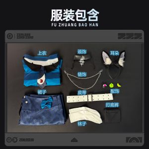 Zenless Zone Zero FES Hoshimi Miyabi, Ellen Joe, Astra Yao, Anby, Asaba Harumasa Cosplay Costumes