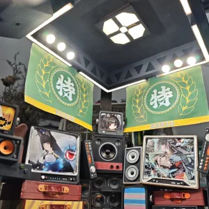 Zenless Zone Zero Hoshimi Miyabi Figure Display Stand Stage Model | Zenlesszonezero.toys