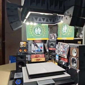 Zenless Zone Zero Hoshimi Miyabi Figure Display Stand Stage Model | Zenlesszonezero.toys